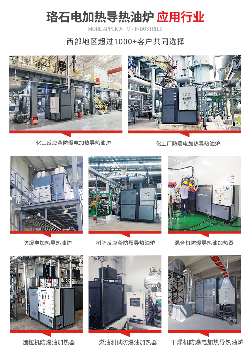 防爆电加热导热油炉应用案例